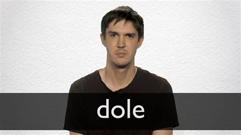 How to pronounce DOLE in English .